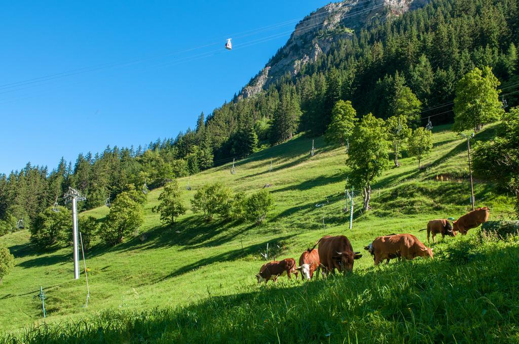 Club Vacanciel Pralognan La Vanoise 普拉洛尼昂-拉瓦努瓦斯 外观 照片